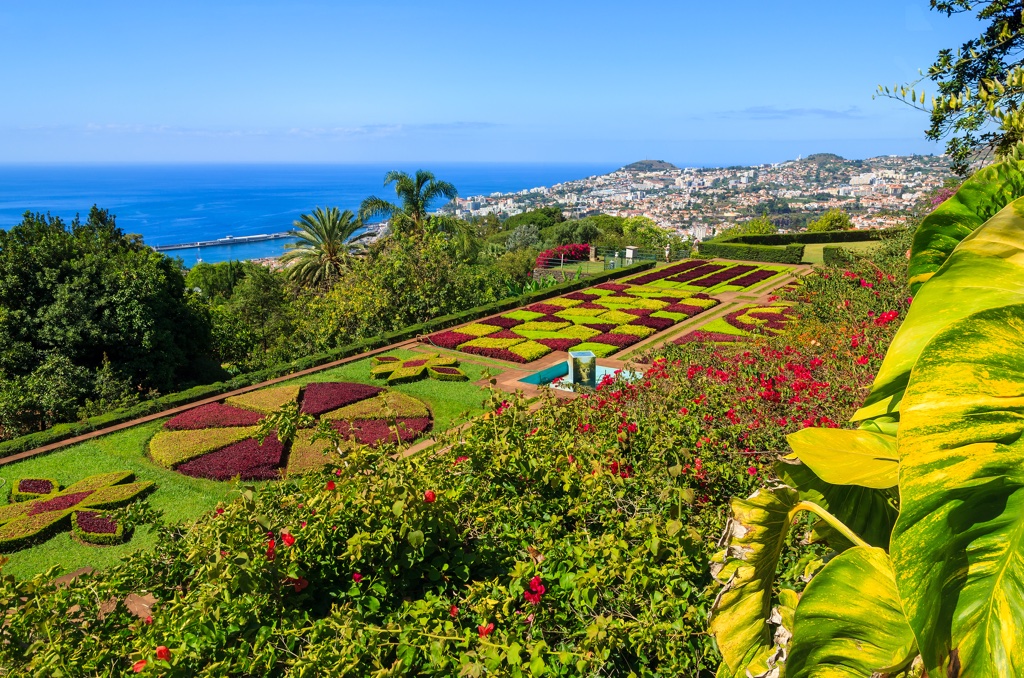 Fly en Drive Madeira 3